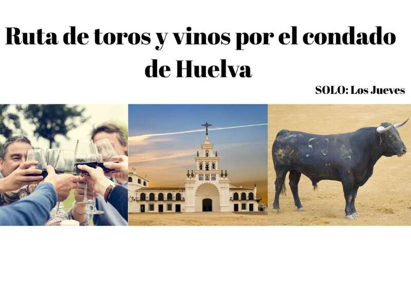 Toros y vinos