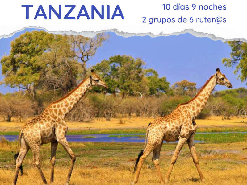 Ofertas Viaje - Expedicin Tanzania Salvaje 2023